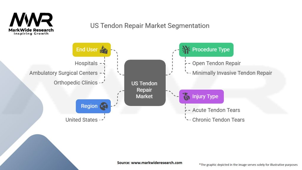 US Tendon Repair Market Segmentation
