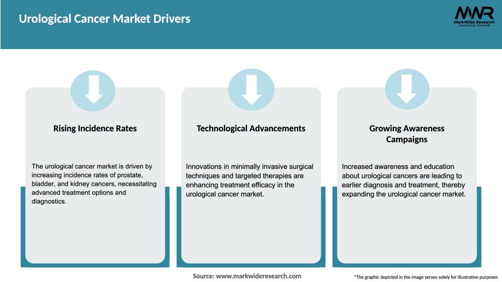 Urological Cancer Market Drivers