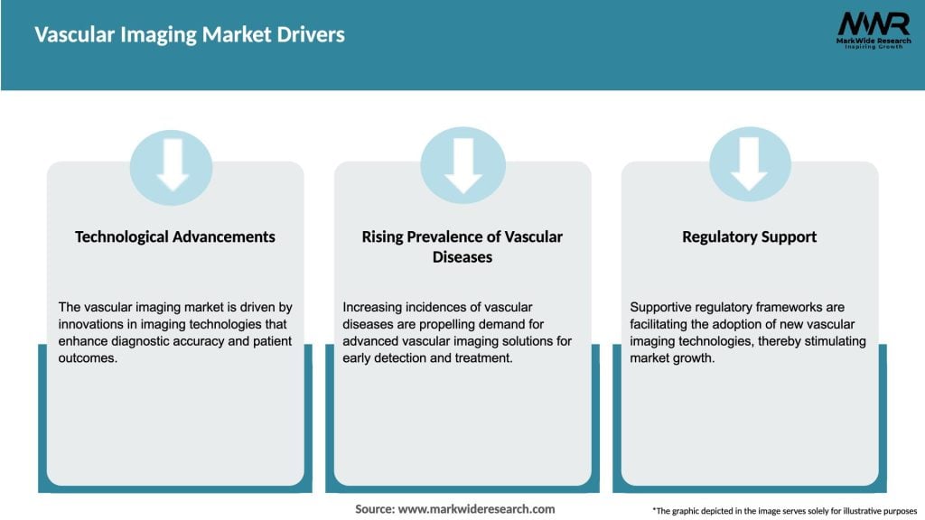 Vascular Imaging Market Drivers