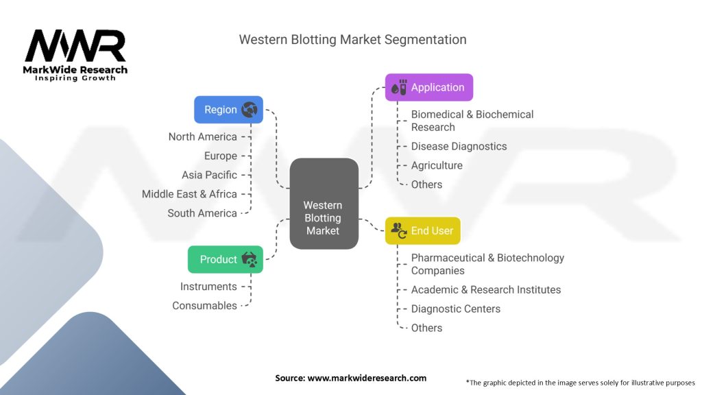 Western Blotting Market Segmentation