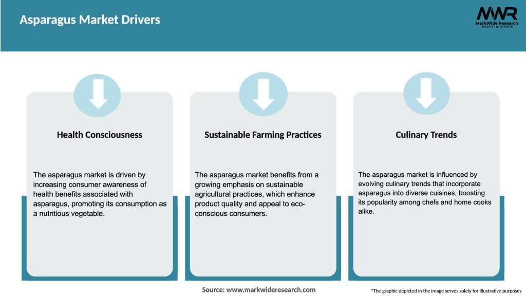 Asparagus Market Drivers