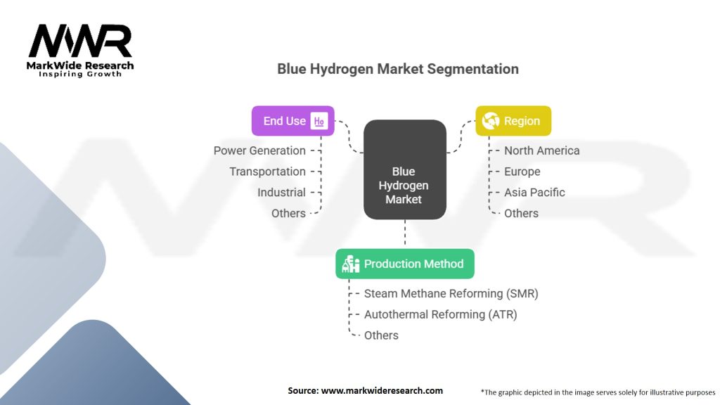 Blue Hydrogen Market Segmentation