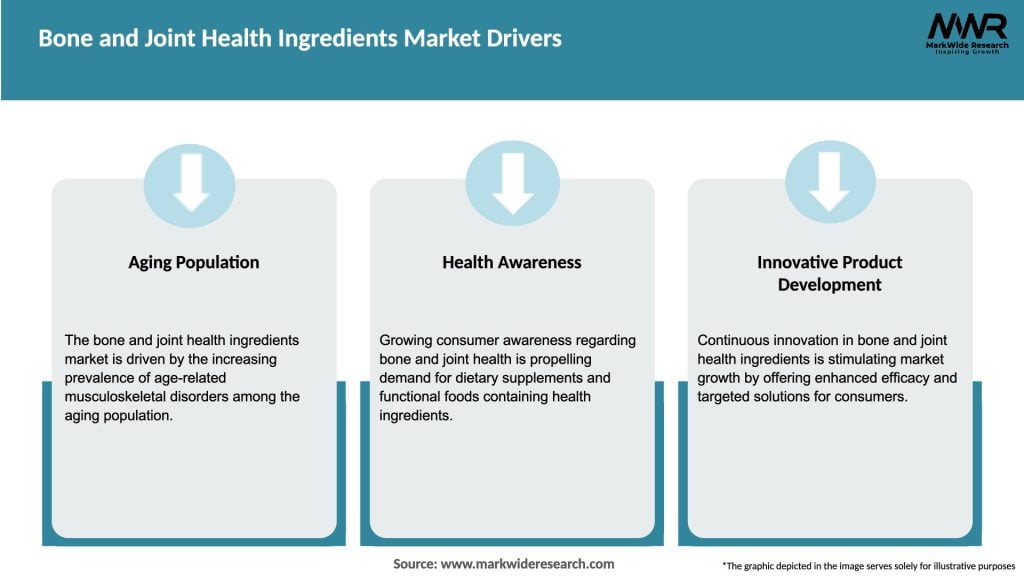 Bone and Joint Health Ingredients Market Drivers