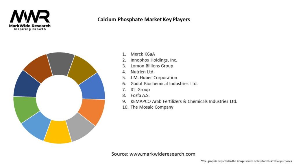 Calcium Phosphate Market 