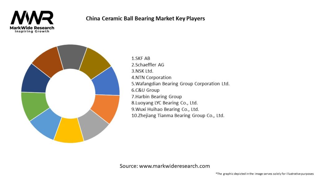 China Ceramic Ball Bearing Market Key Players
