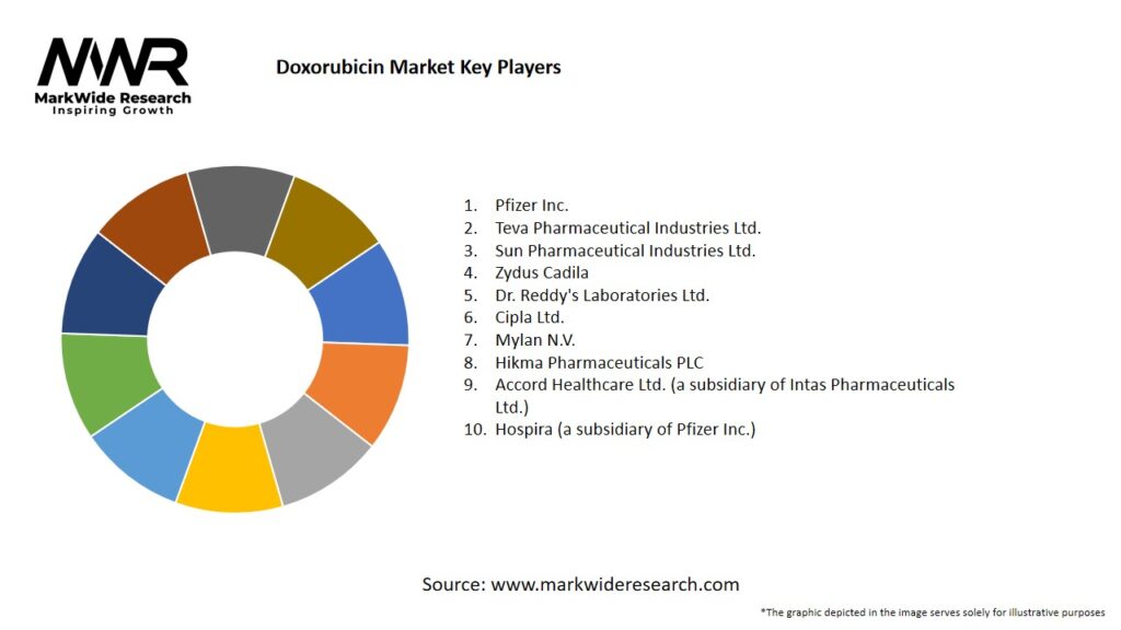 Doxorubicin Market Key Players