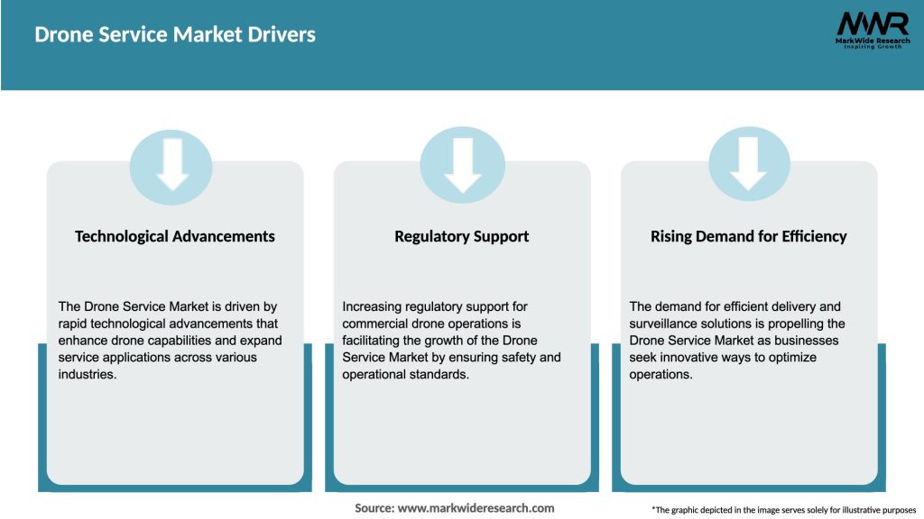 Drone Service Market Drivers