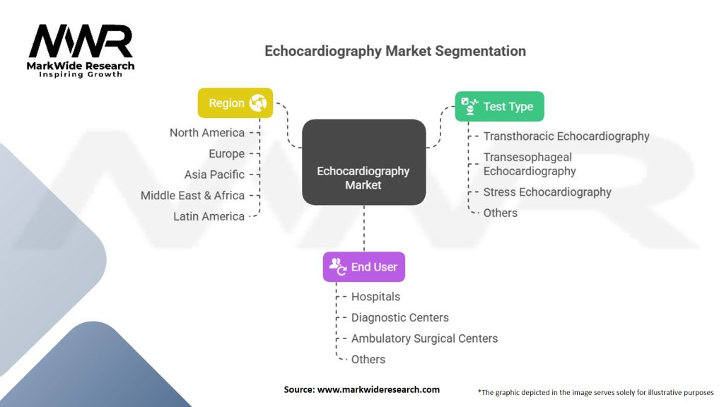 Echocardiography Market Segmentation