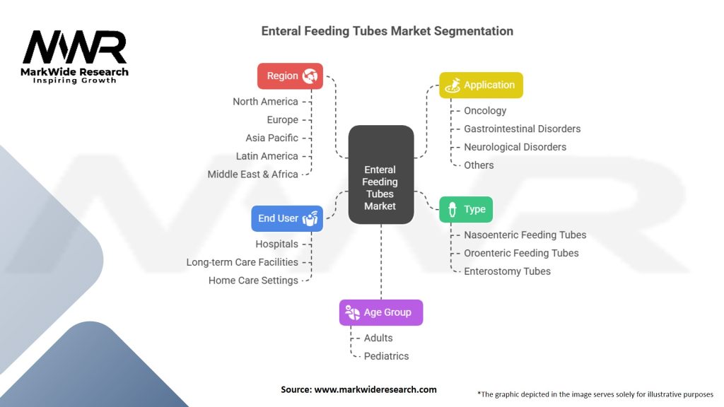Enteral Feeding Tubes Market Segmentation
