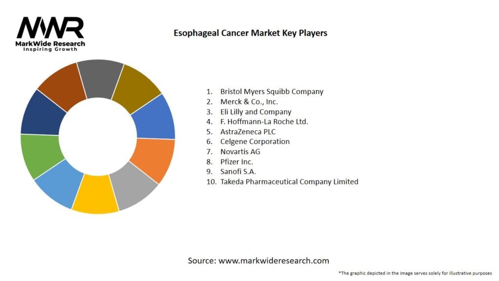 Esophageal Cancer Market Key Players