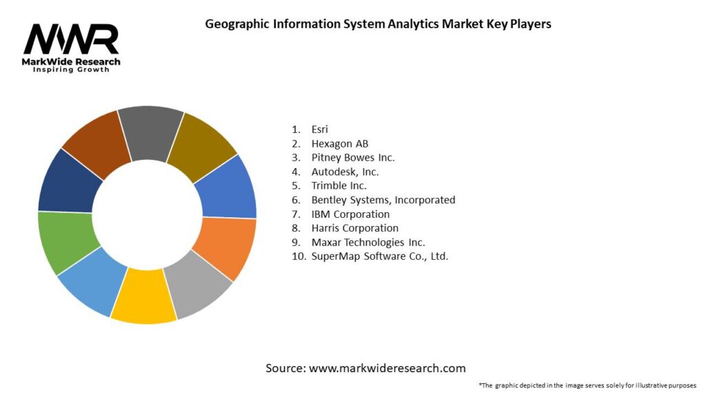 Geographic Information System Analytics Market 
