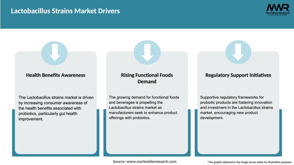 Lactobacillus Strains Market Drivers