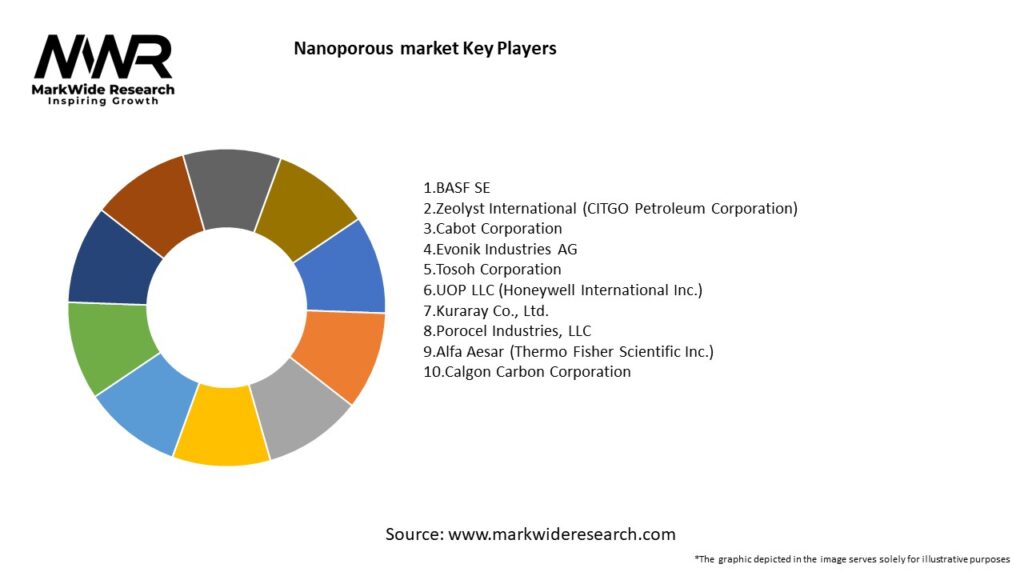 Nanoporous market Key Players