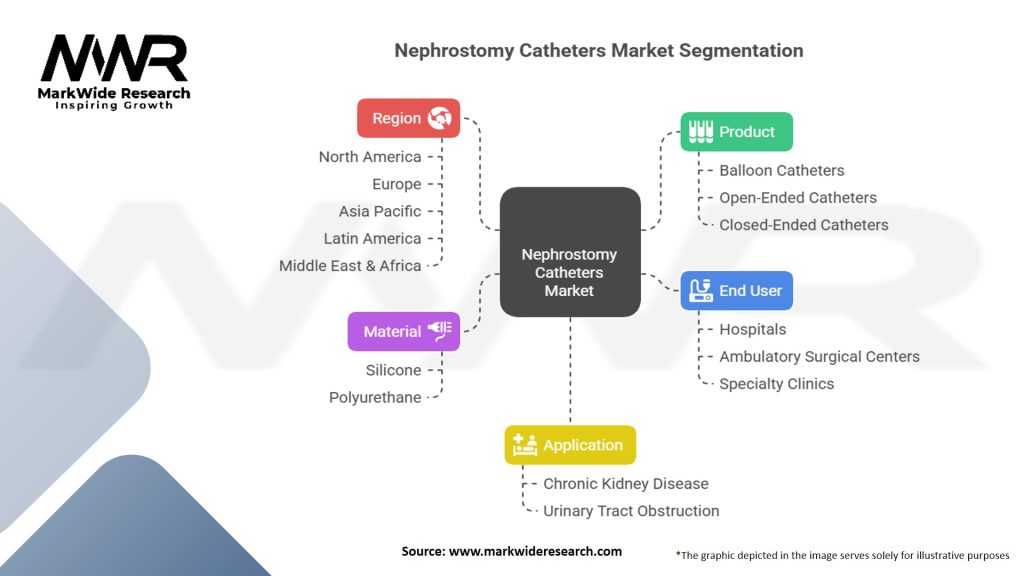 Nephrostomy Catheters Market Segmentation