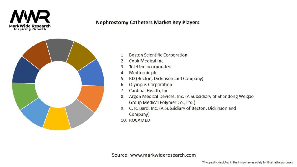 Nephrostomy Catheters Market Key Players