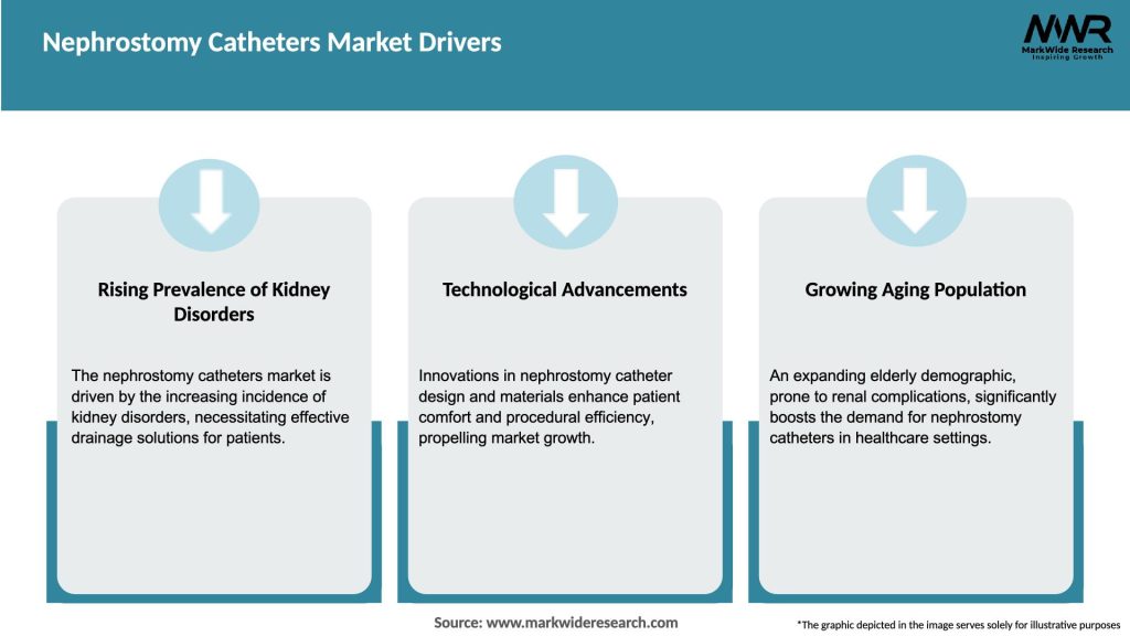 Nephrostomy Catheters Market Drivers