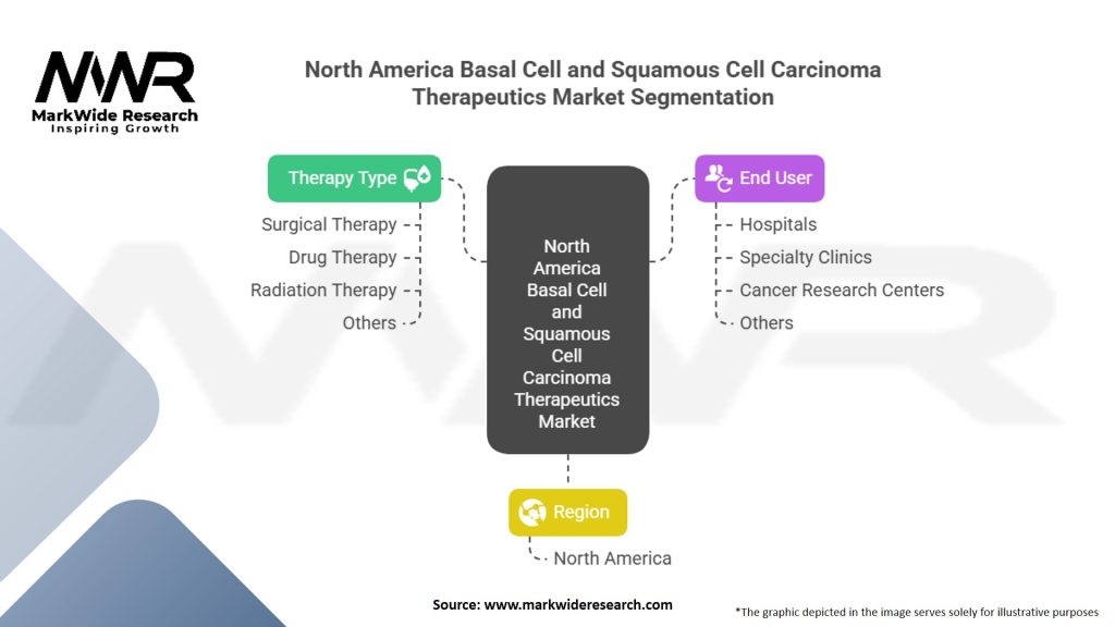North America Basal Cell and Squamous Cell Carcinoma Therapeutics Market Segmentation
