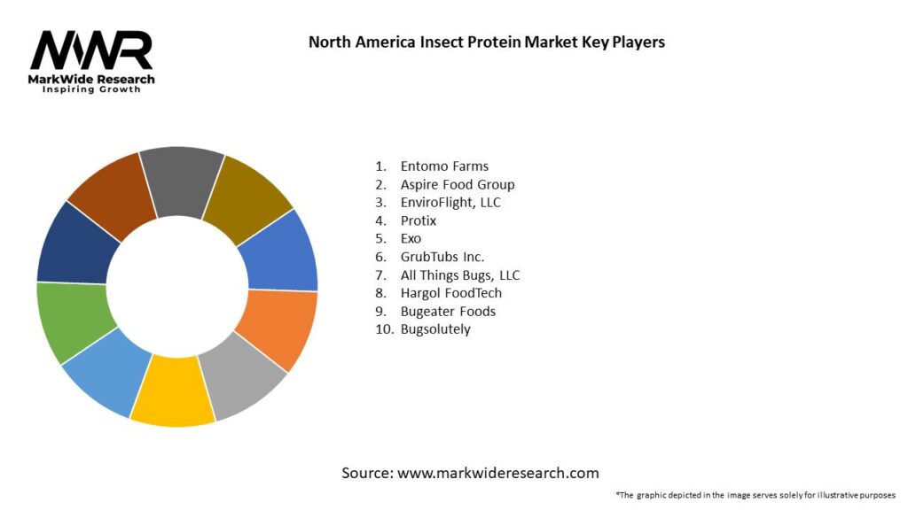 North America Insect Protein Market 
