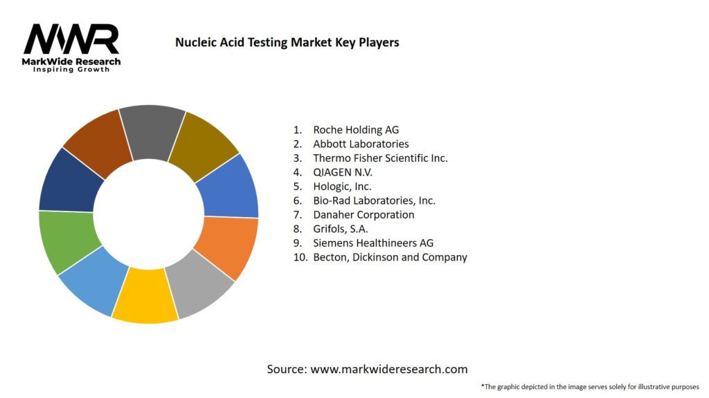 Nucleic Acid Testing Market Key Players