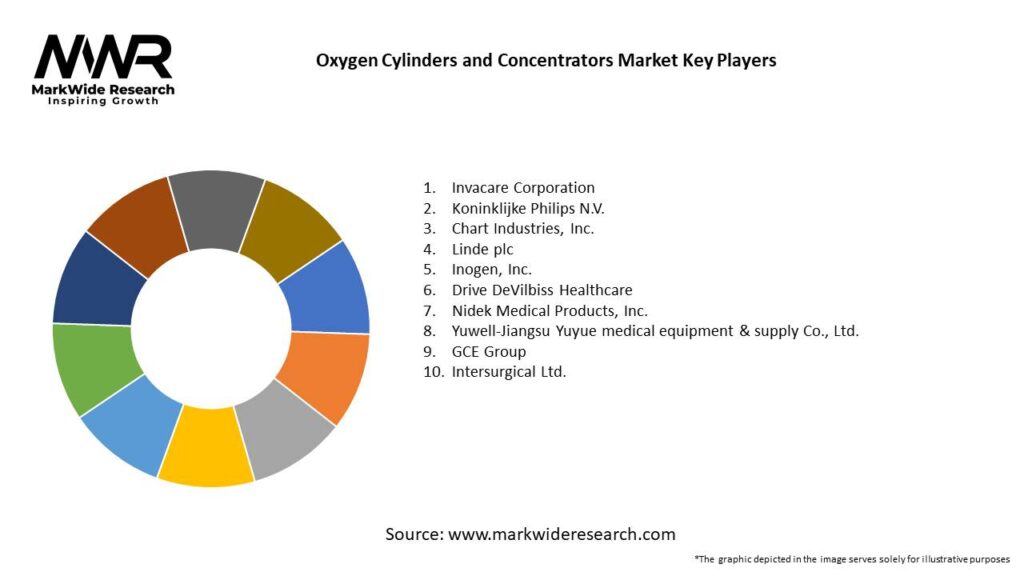 Oxygen Cylinders and Concentrators Market Key Players