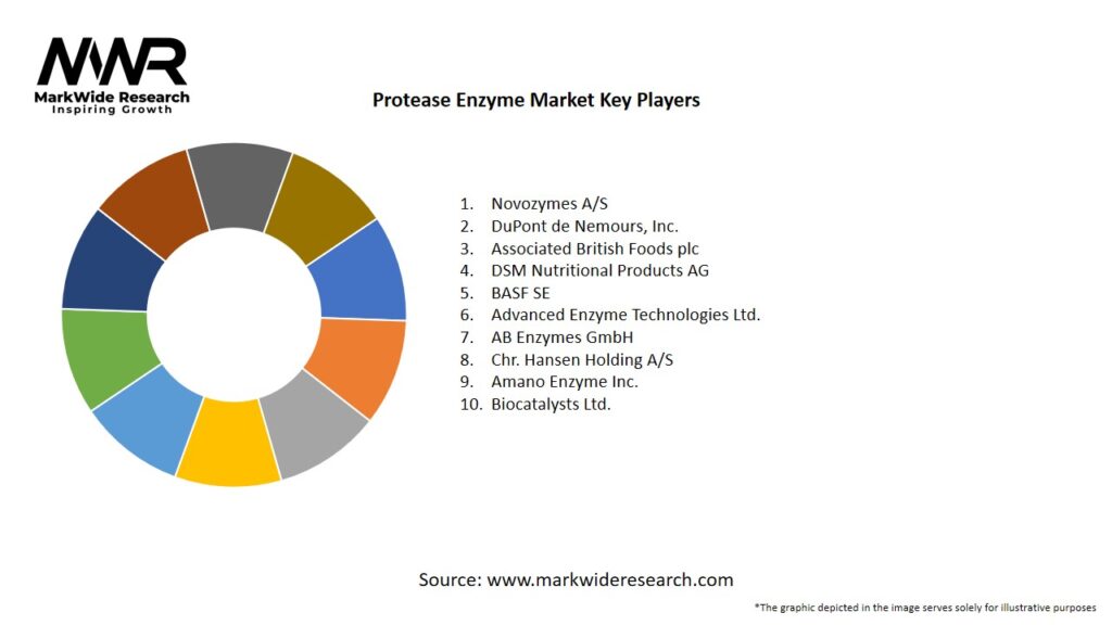 Protease Enzyme Market Key Players