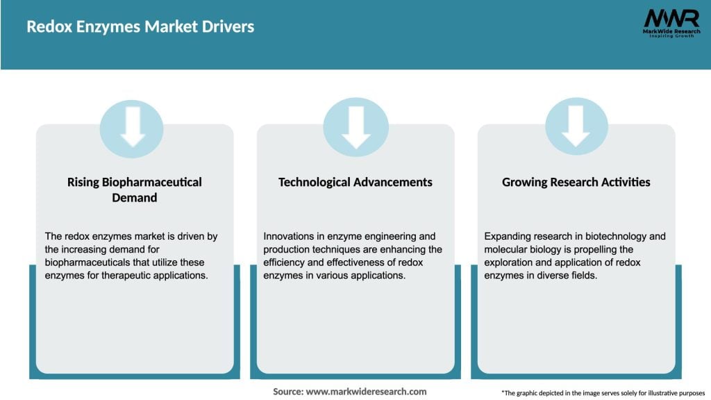 Redox Enzymes Market Drivers