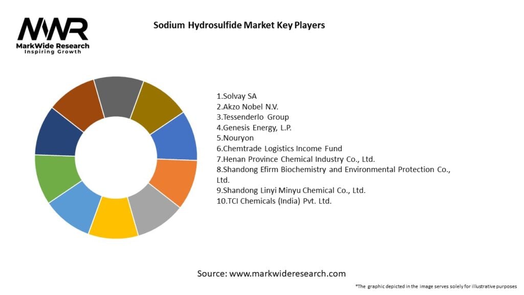 Sodium Hydrosulfide Market Key Players