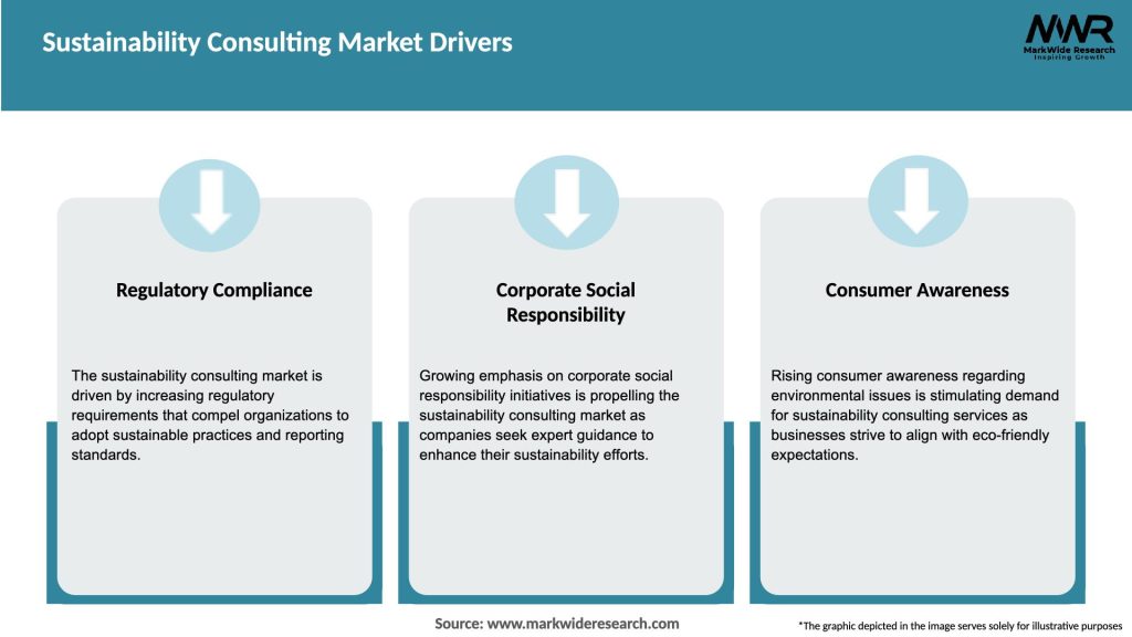 Sustainability Consulting Market Drivers