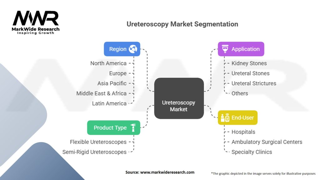 Ureteroscopy Market Segmentation