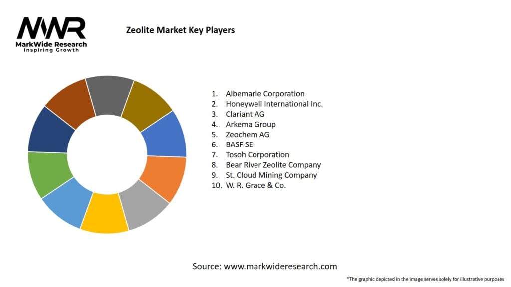Zeolite Market 