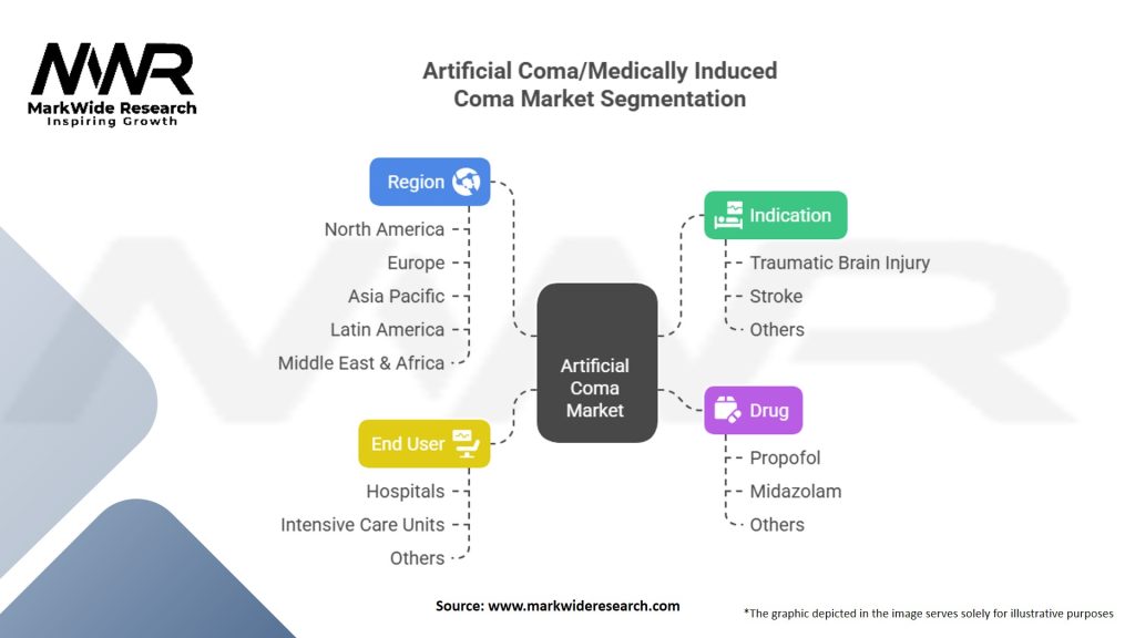 Artificial Coma/Medically Induced Coma Market Segmentation