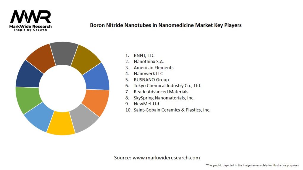 Boron Nitride Nanotubes in Nanomedicine Market