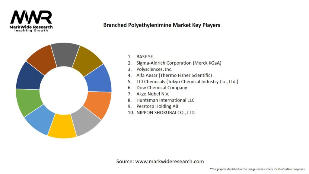 Branched Polyethylenimine Market Key Players