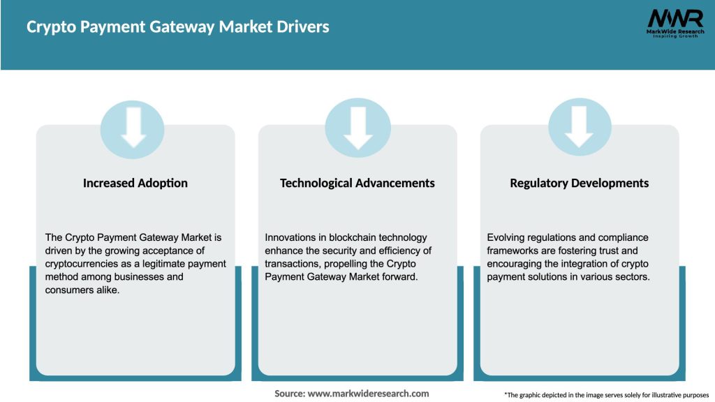 Crypto Payment Gateway Market Drivers
