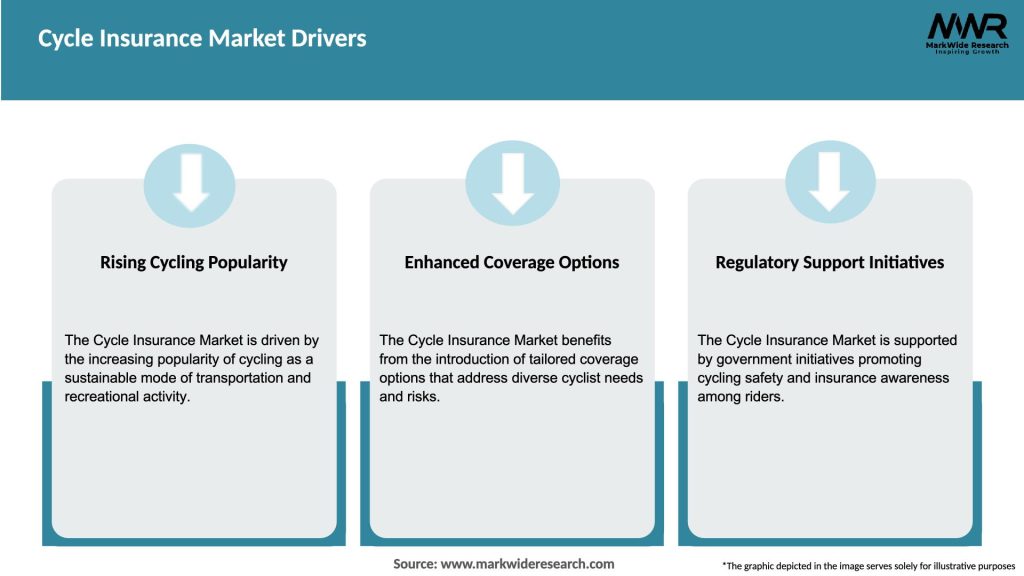 Cycle Insurance Market Drivers