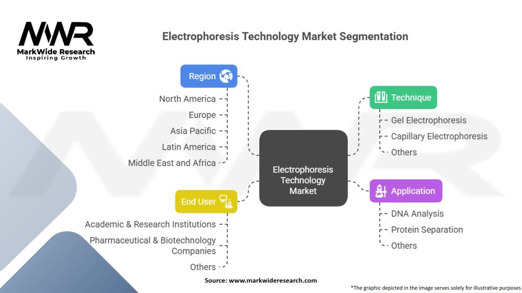 Electrophoresis Technology Market Segmentation