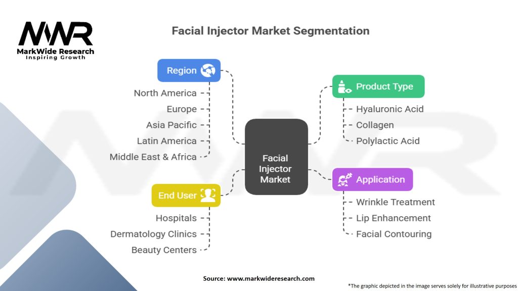 Facial Injector Market Segmentation