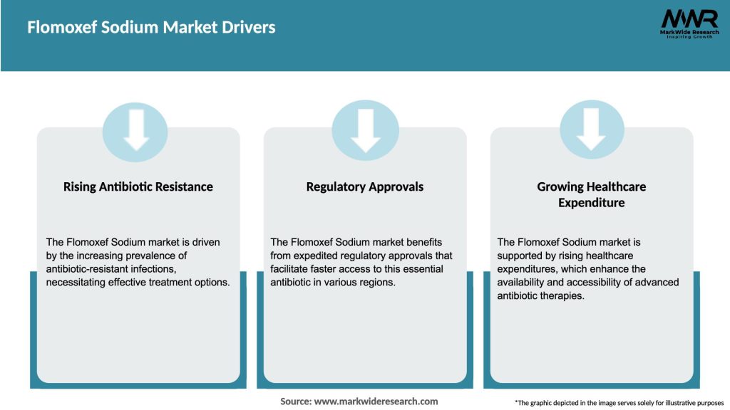 Flomoxef Sodium Market Drivers