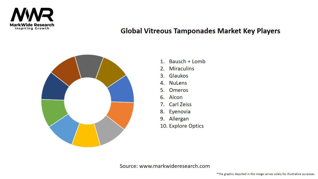 Global Vitreous Tamponades Market Key Players