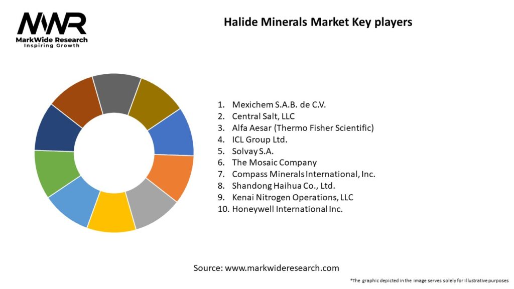 Halide Minerals Market Key Players
