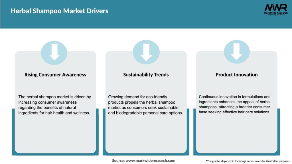 Herbal Shampoo Market Drivers