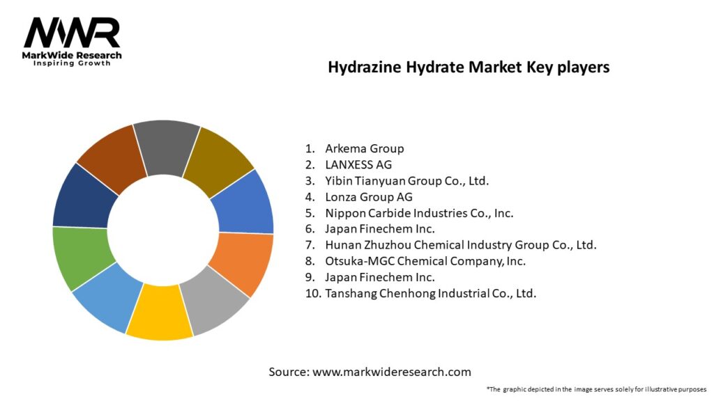 Hydrazine Hydrate Market