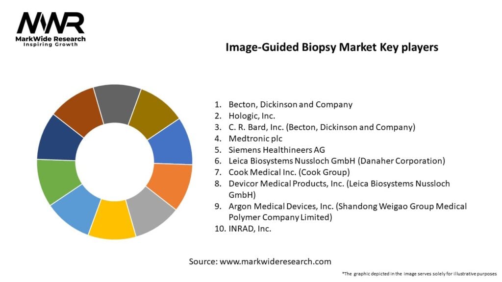 Image-Guided Biopsy Market Key Players