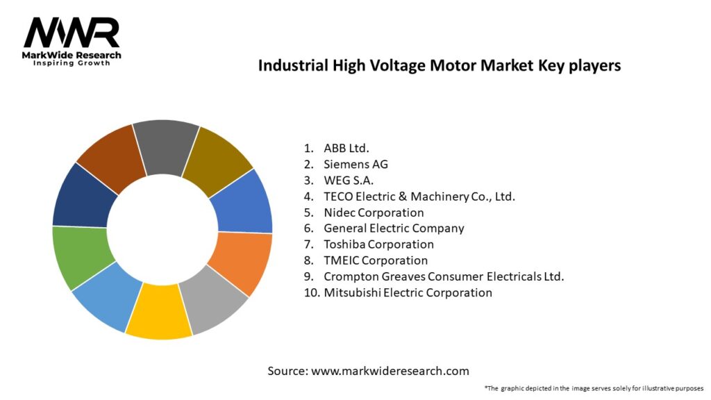 Industrial High Voltage Motor Market