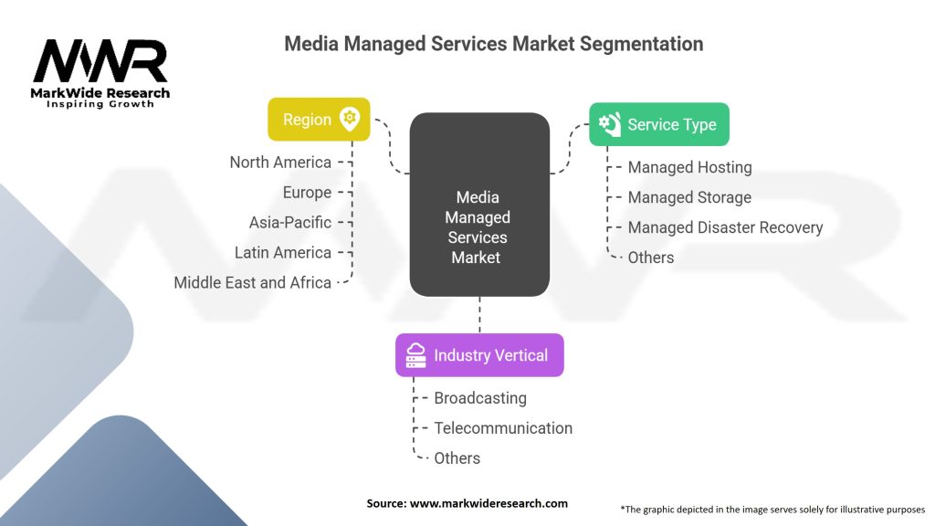 Media Managed Services Market Segmentation