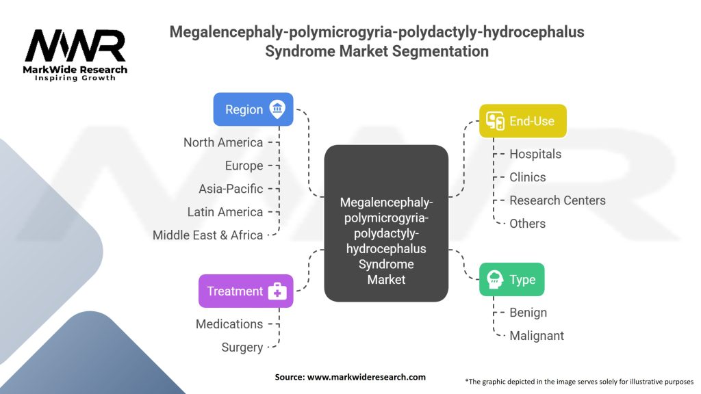 Megalencephaly-polymicrogyria-polydactyly-hydrocephalus Syndrome Market Segmentation