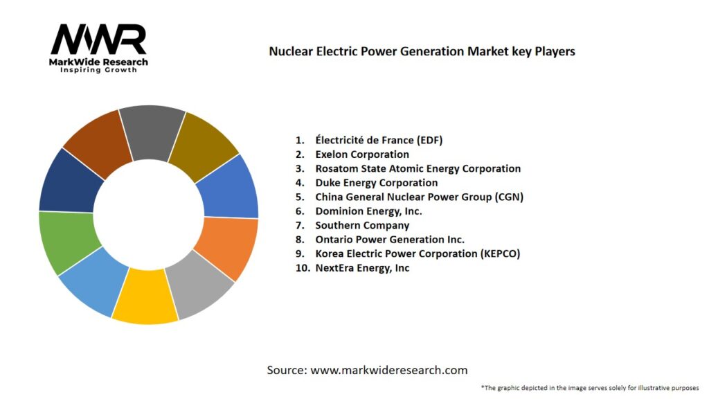 Nuclear Electric Power Generation Market Key Players