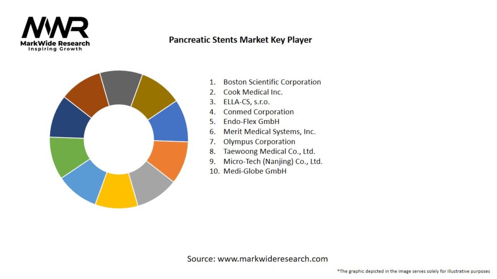 Pancreatic Stents Market Key Players