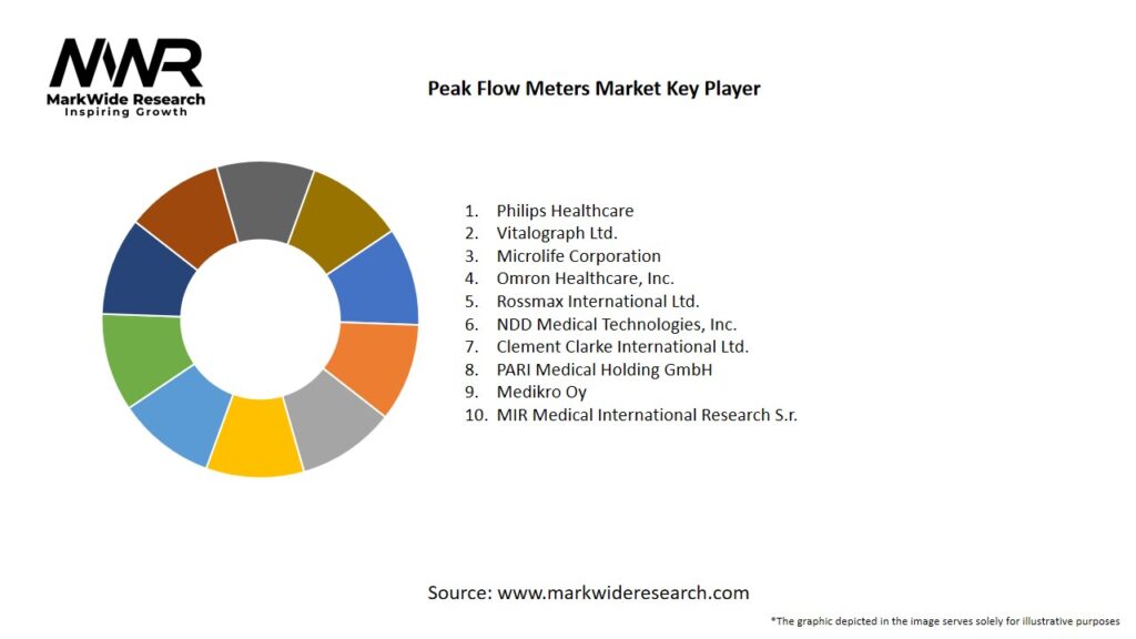 Peak Flow Meters Market