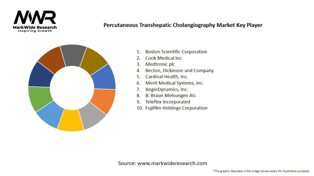 Percutaneous Transhepatic Cholangiography Market Key Players